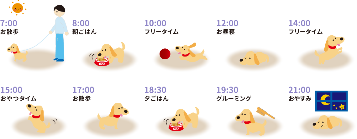 ドッグホテルでの１日